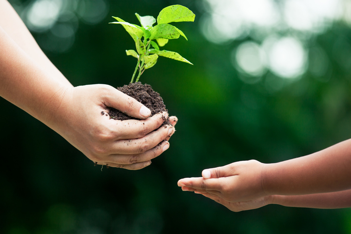 Mother's hand giving young tree to a child for planting together